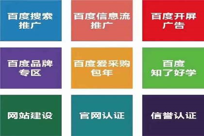 信息流广告投放公司案例深度剖析